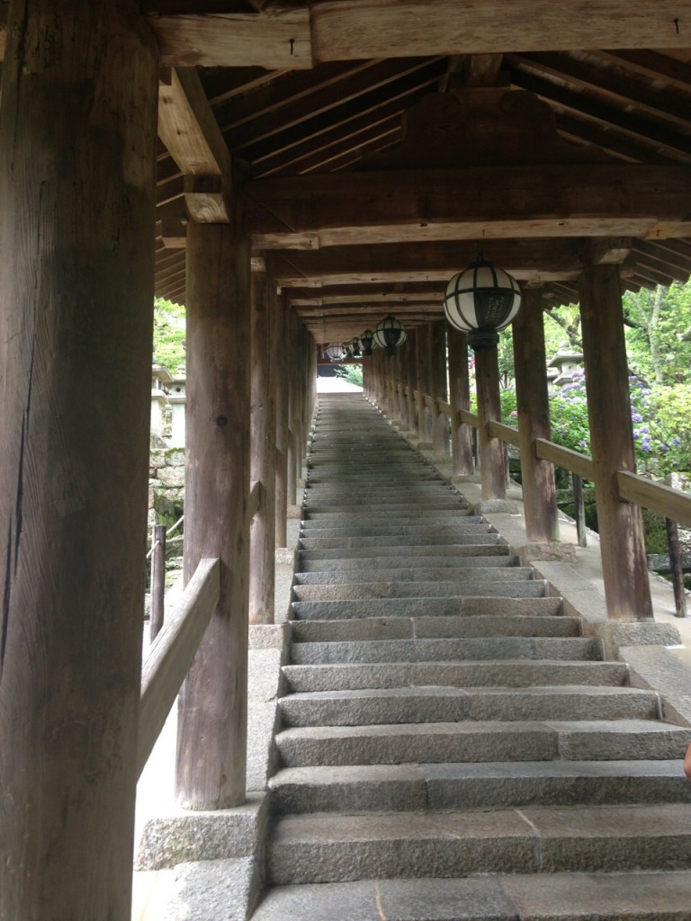 image5