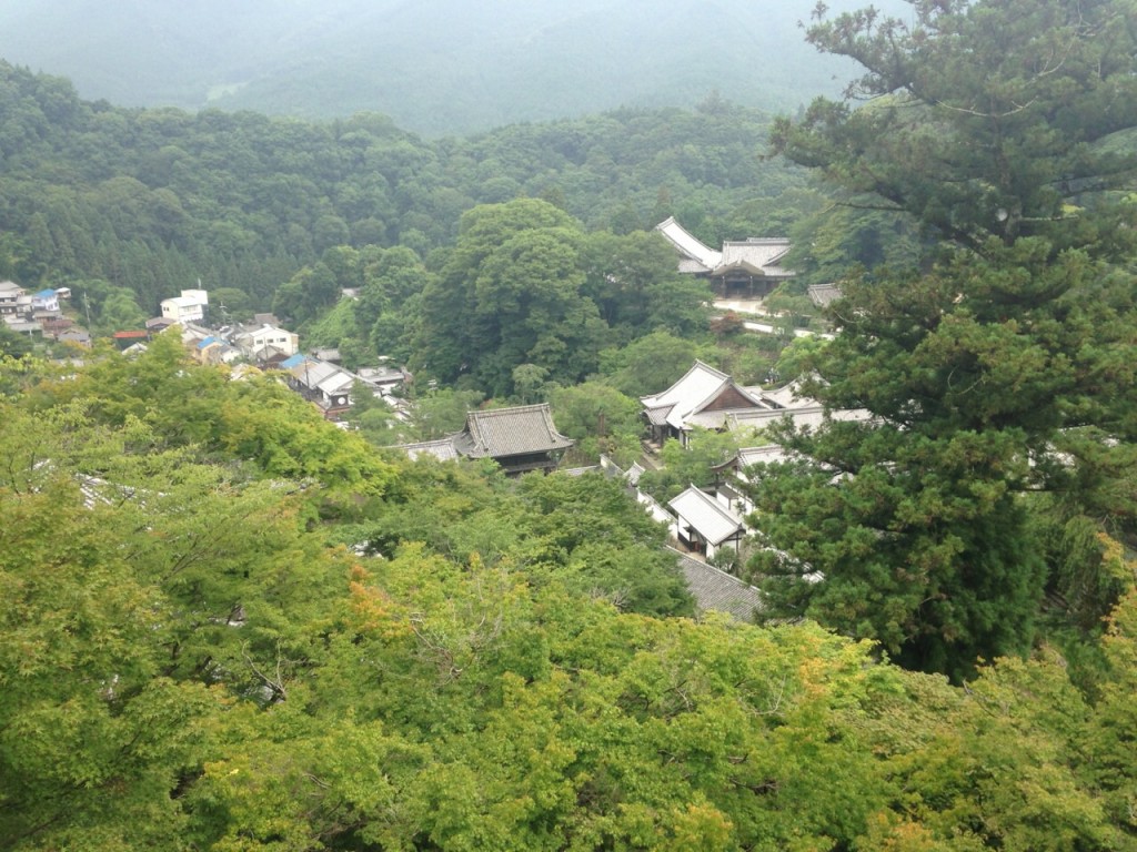 image6