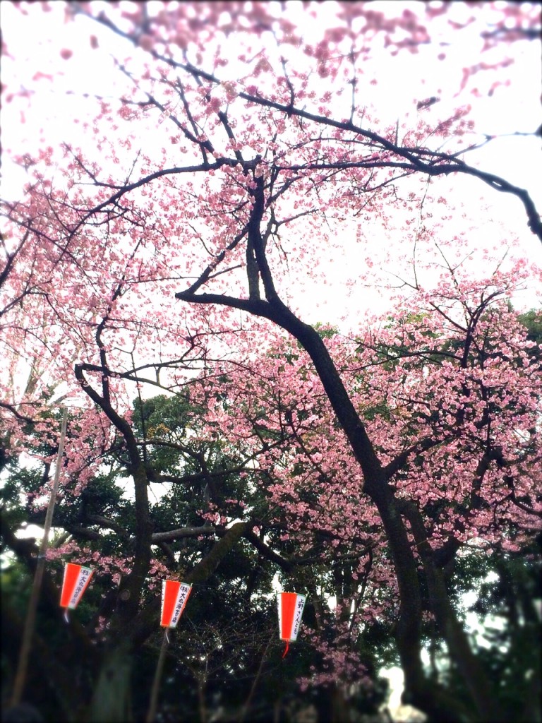 __ 1
