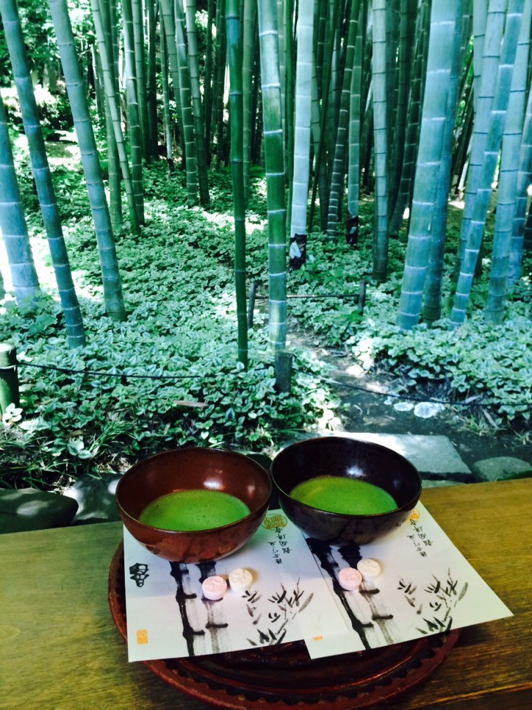 報国寺10