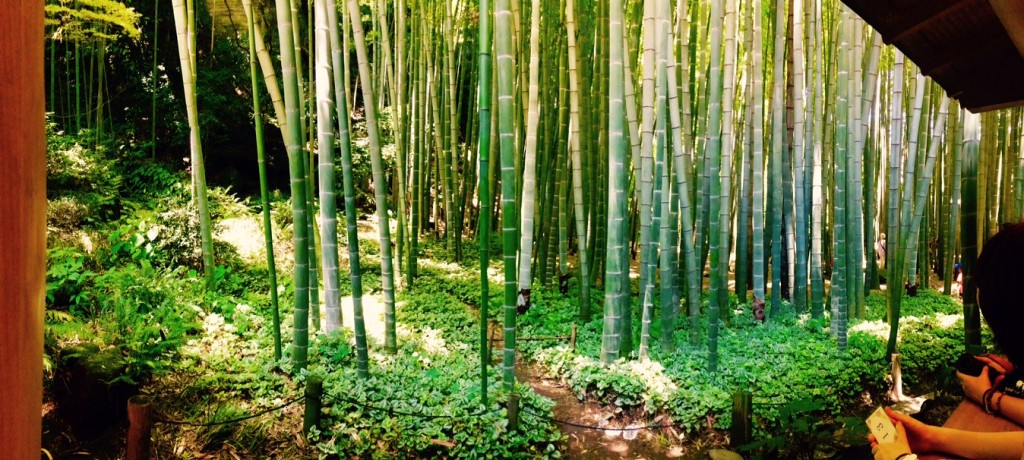 報国寺11